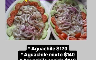 AGUA CHILE CON PATSY SOBERANES